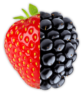 berry flavor berry extract